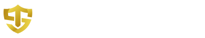 天盛安全顧問-私人保鑣,貼身隨扈,國內私人保鑣,中山區保鑣,專業保鏢服務